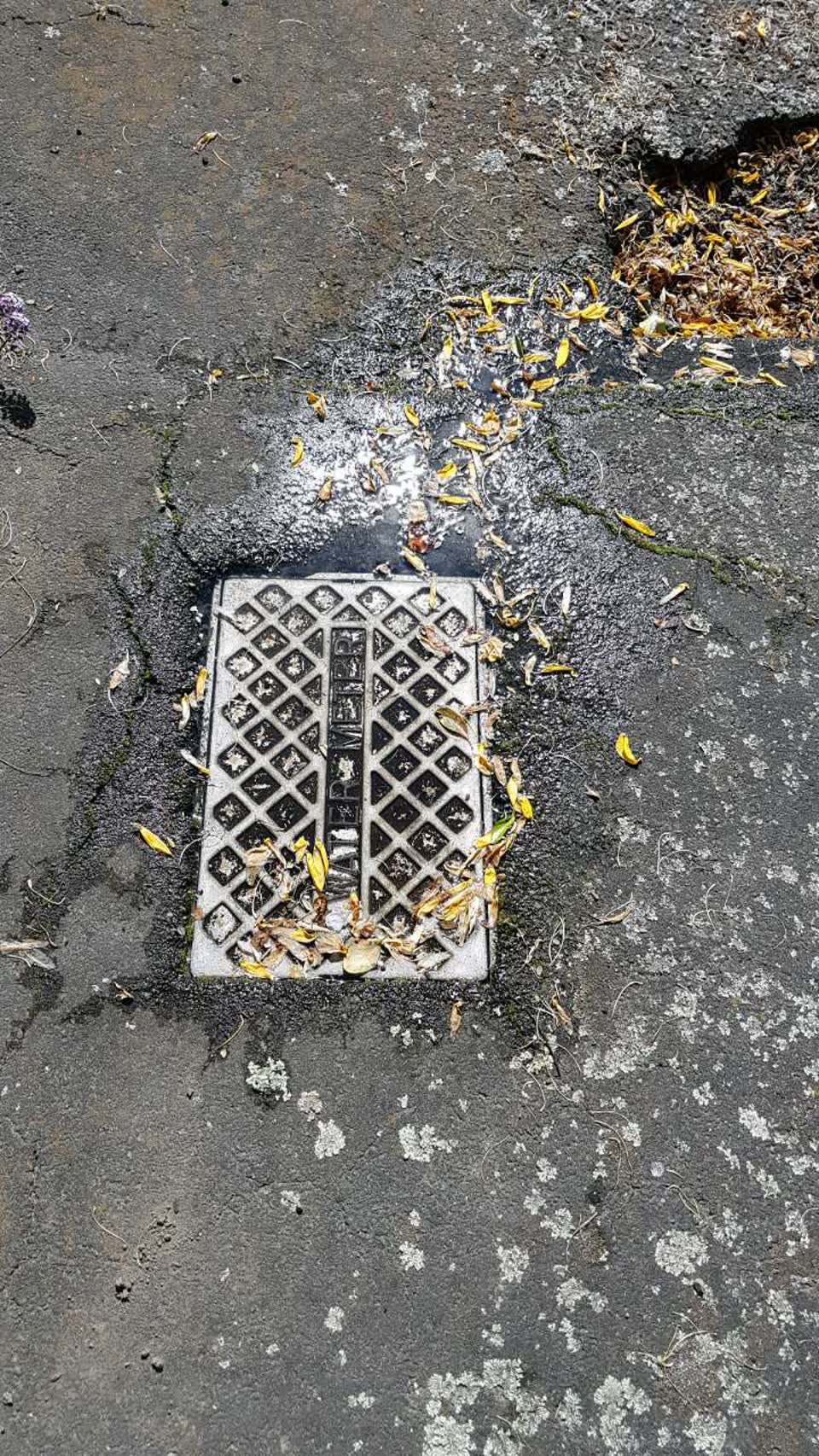 The photograph attached to this water supply report