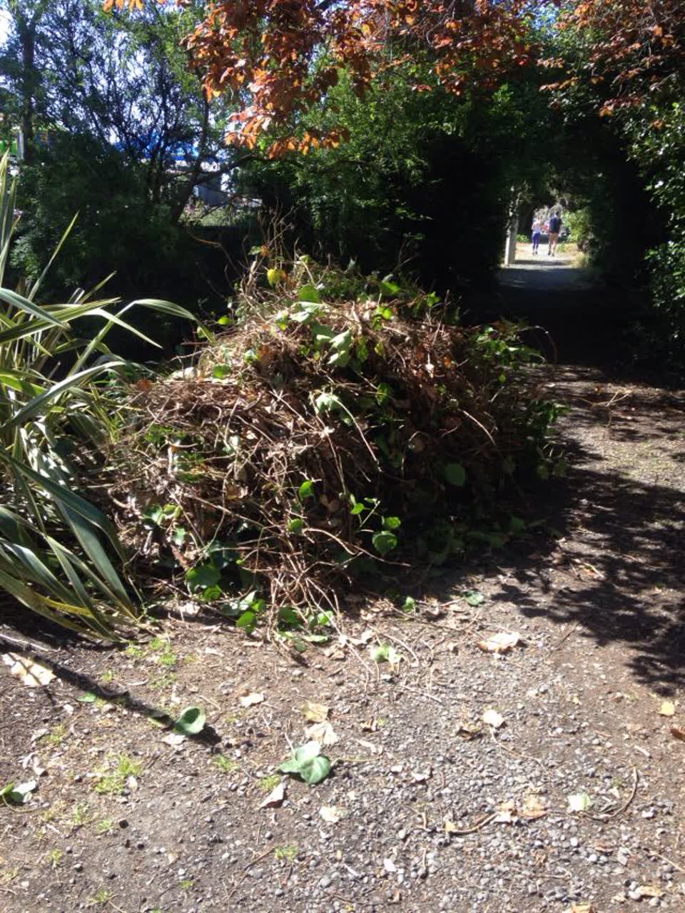 The photograph attached to this parks report