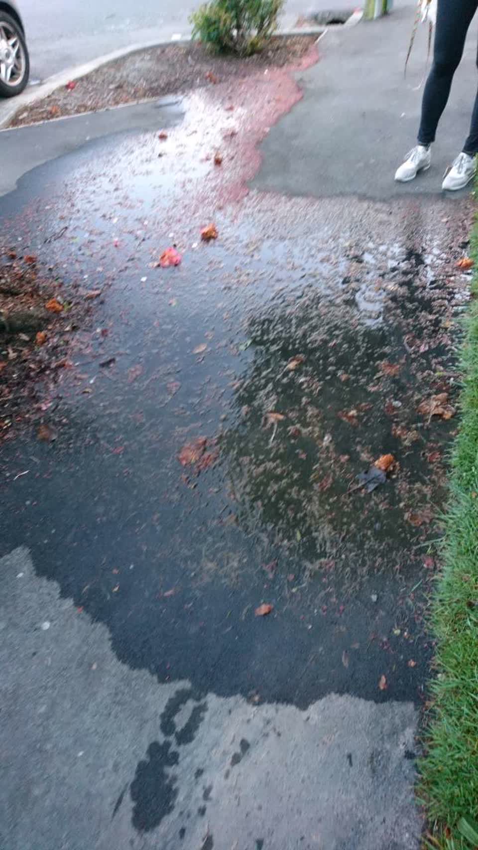 The photograph attached to this water supply report