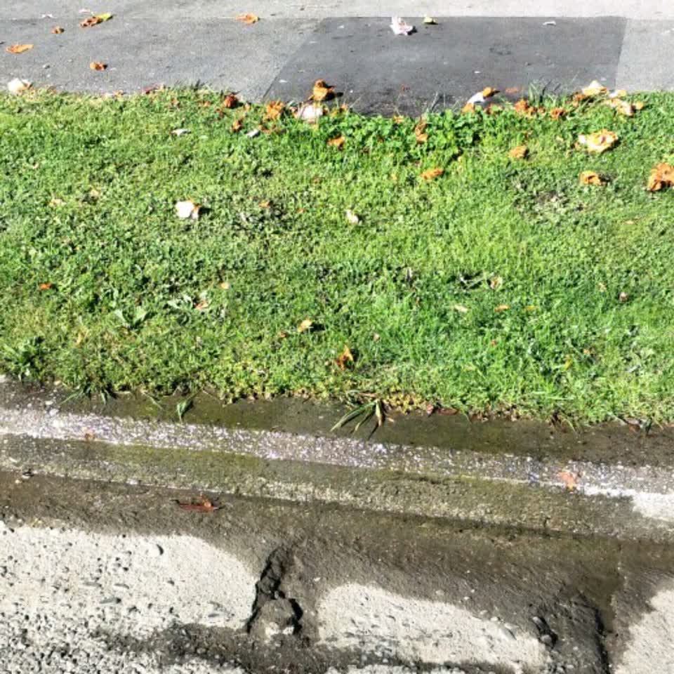 The photograph attached to this wastewater/stormwater report