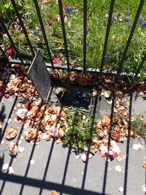 Water Supply, a report photo