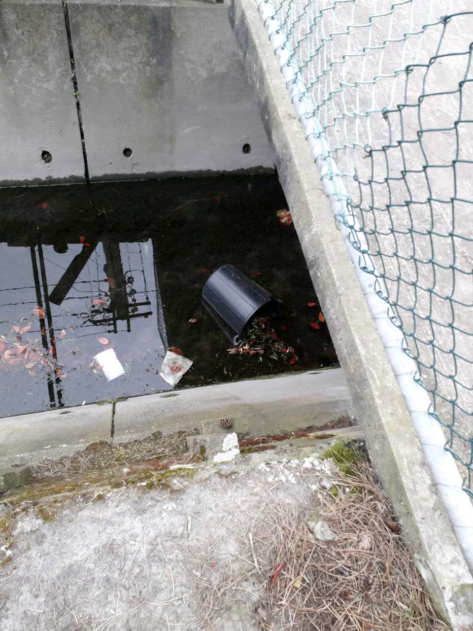 The photograph attached to this parks report