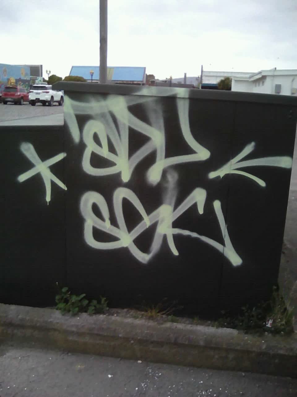 The photograph attached to this graffiti report