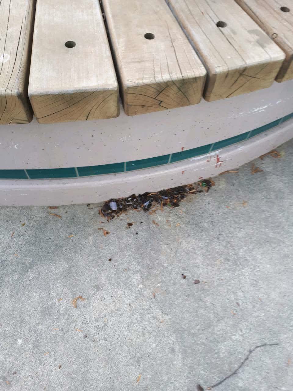 The photograph attached to this parks report