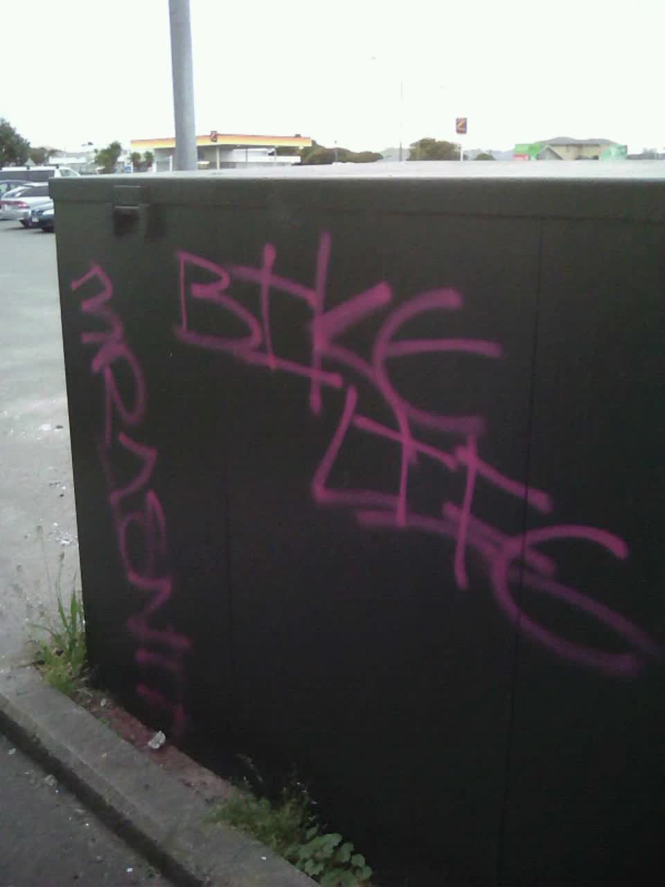 The photograph attached to this graffiti report