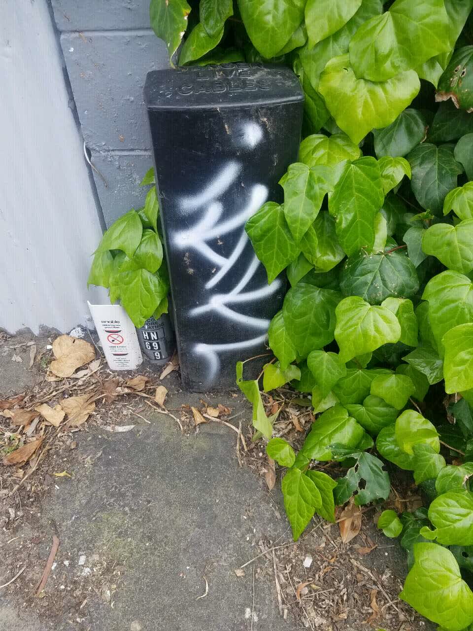 The photograph attached to this graffiti report