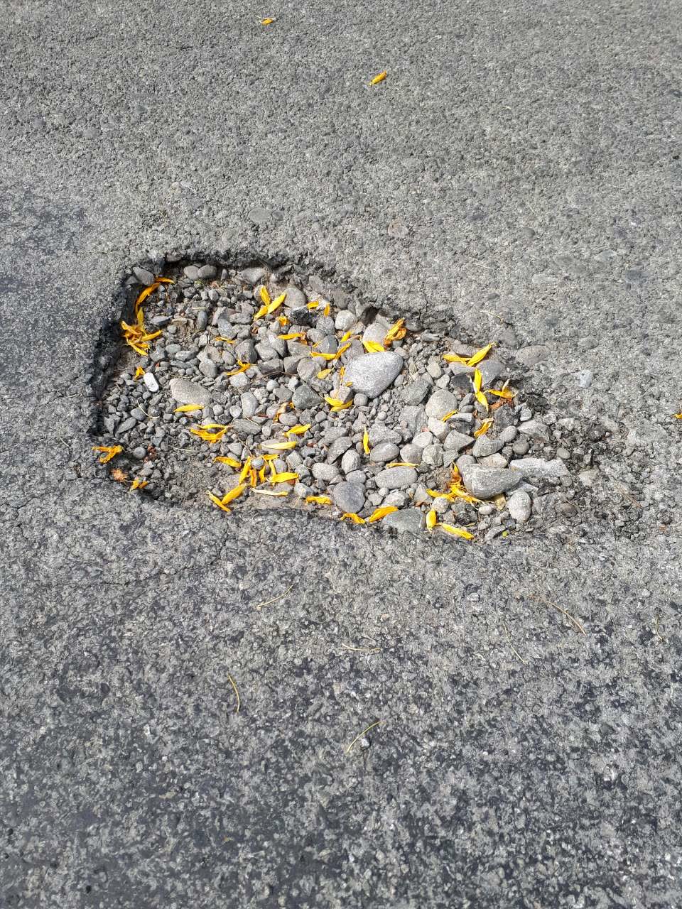 The photograph attached to this roading/streets report