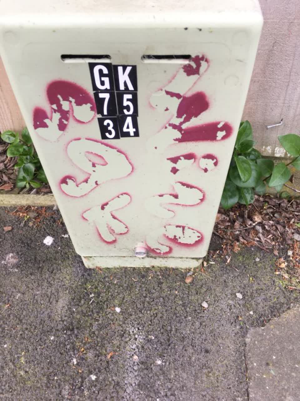 The photograph attached to this graffiti report