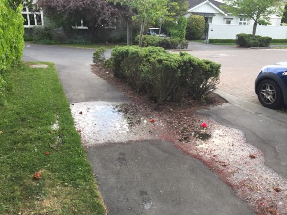 The photograph attached to this water supply report
