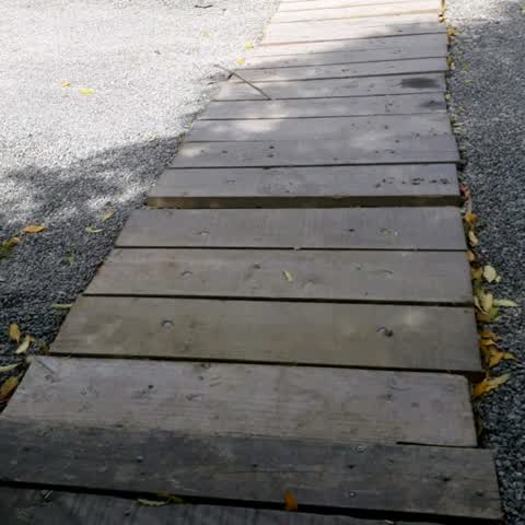 Wastewater/Stormwater, a report photo