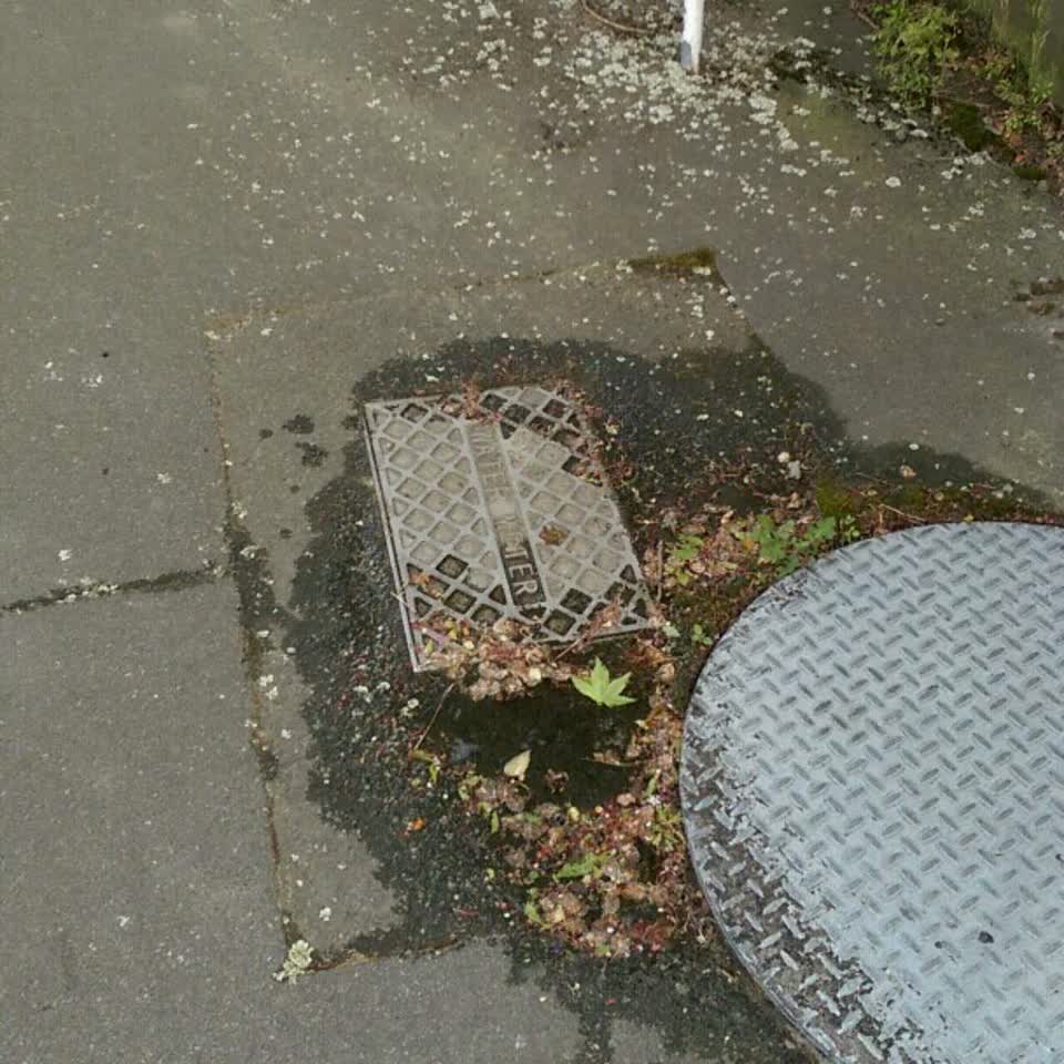 The photograph attached to this water supply report
