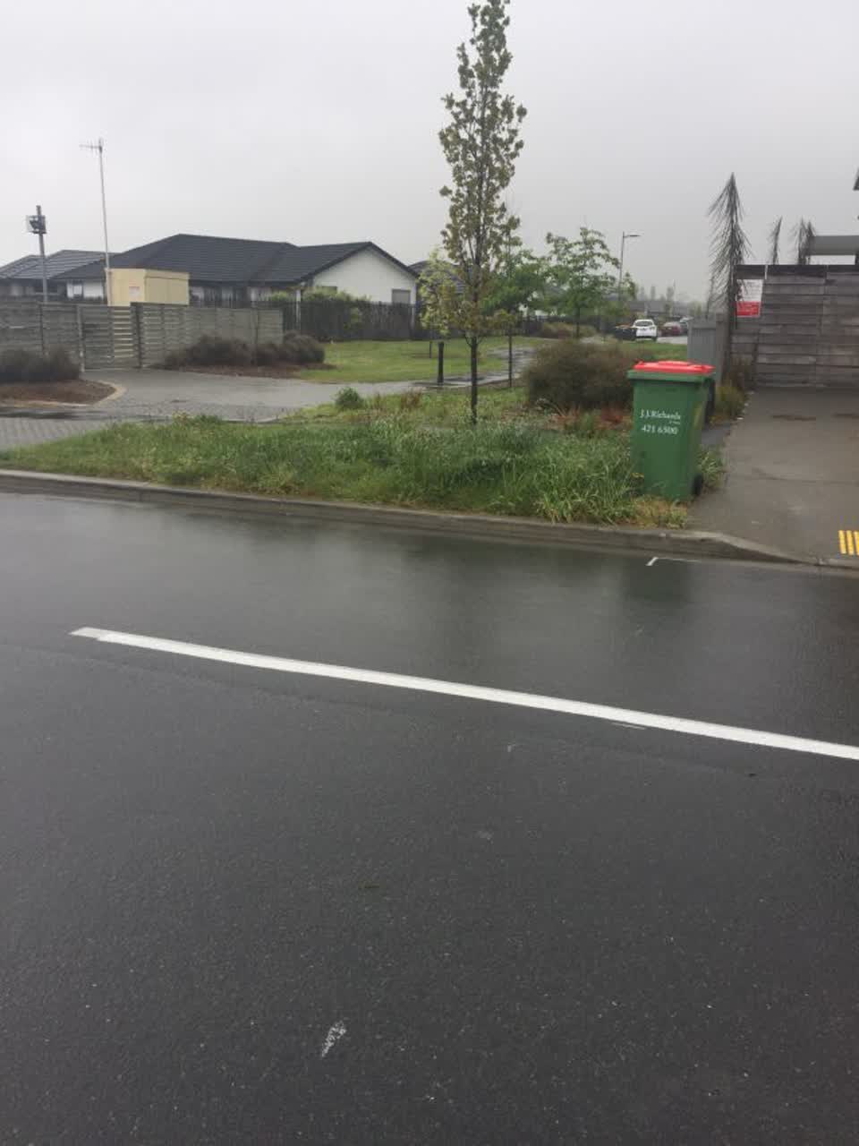 The photograph attached to this parks report