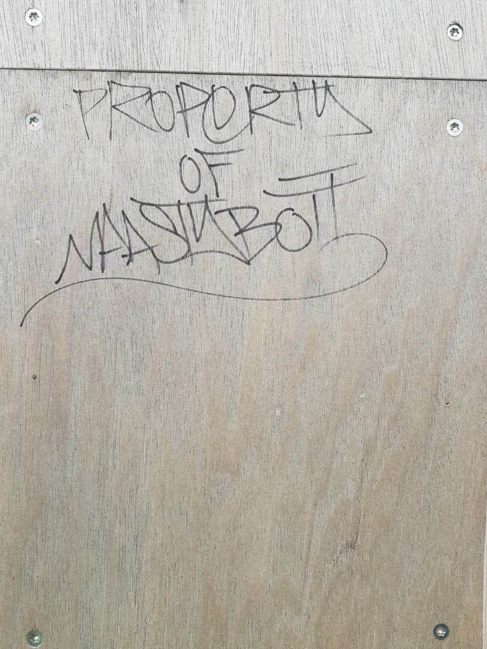The photograph attached to this graffiti report