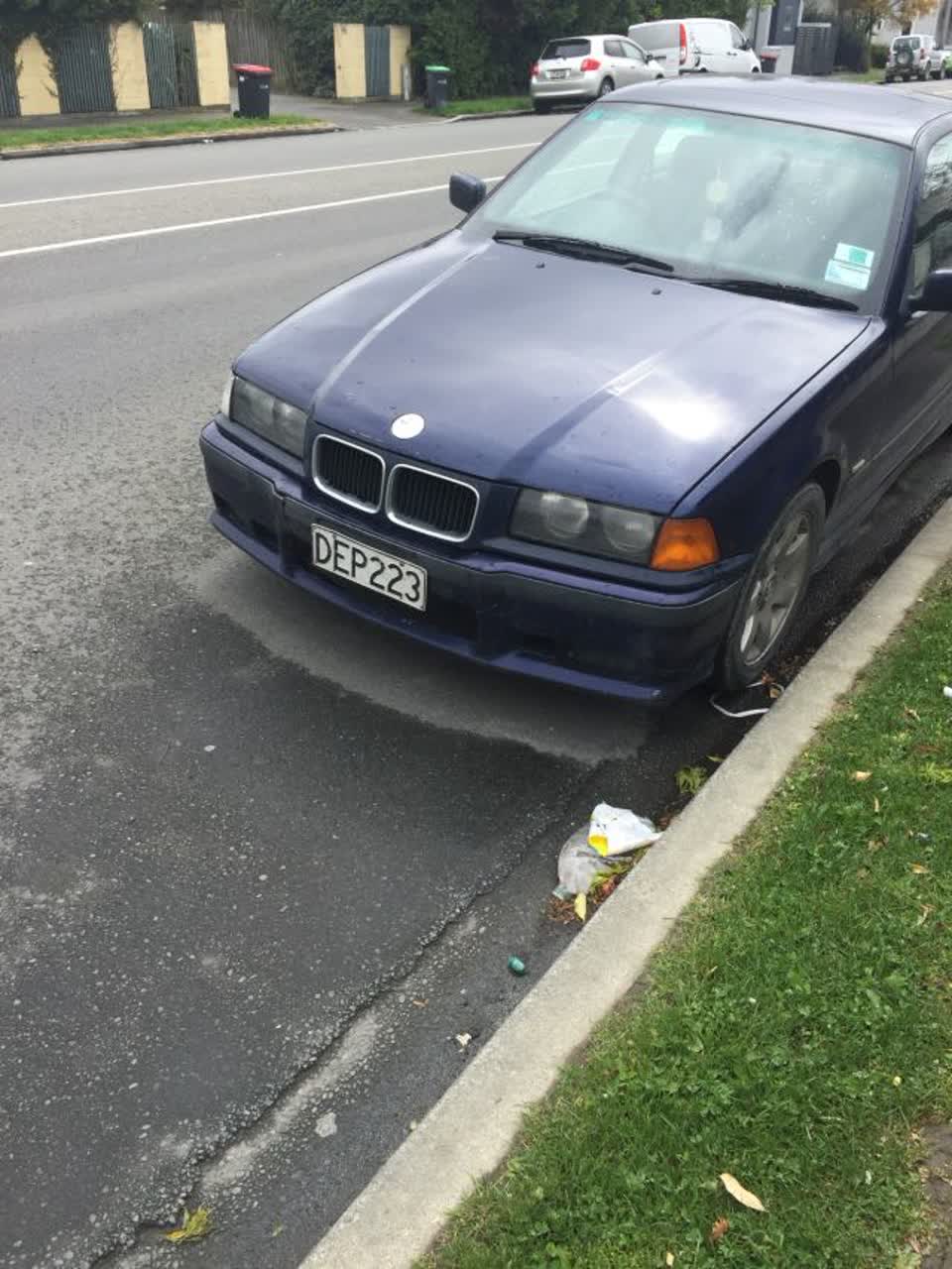 The photograph attached to this parks report