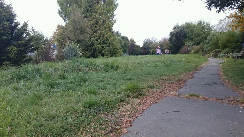 The photograph attached to this parks report