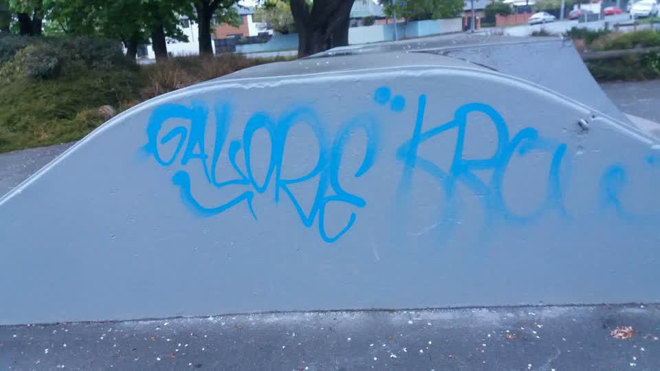The photograph attached to this graffiti report
