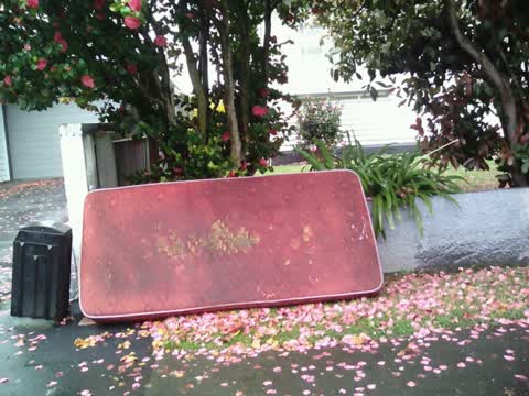 Rubbish/Recycling, a report photo