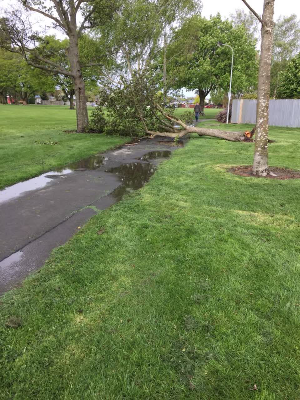 The photograph attached to this parks report