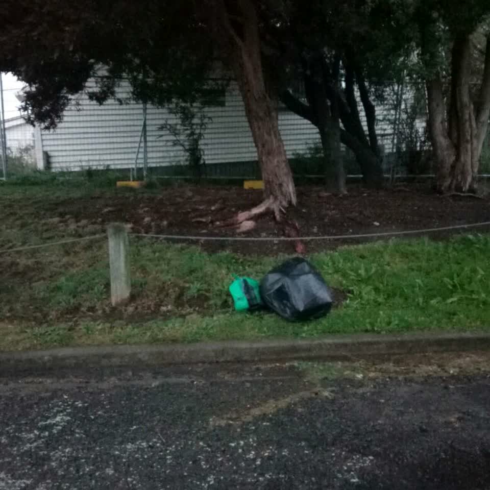 The photograph attached to this parks report