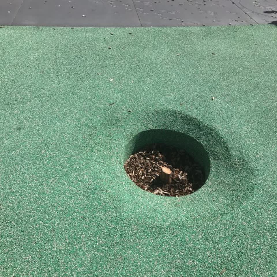 The photograph attached to this parks report