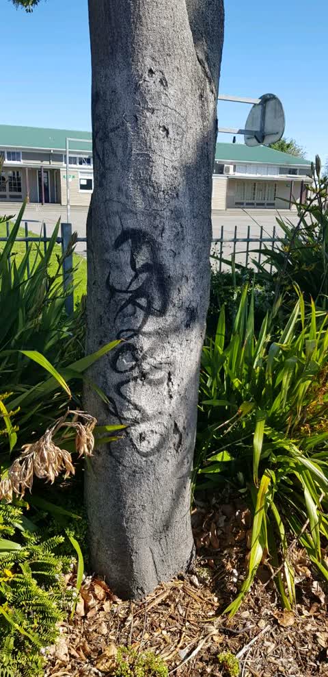 Graffiti, a report photo