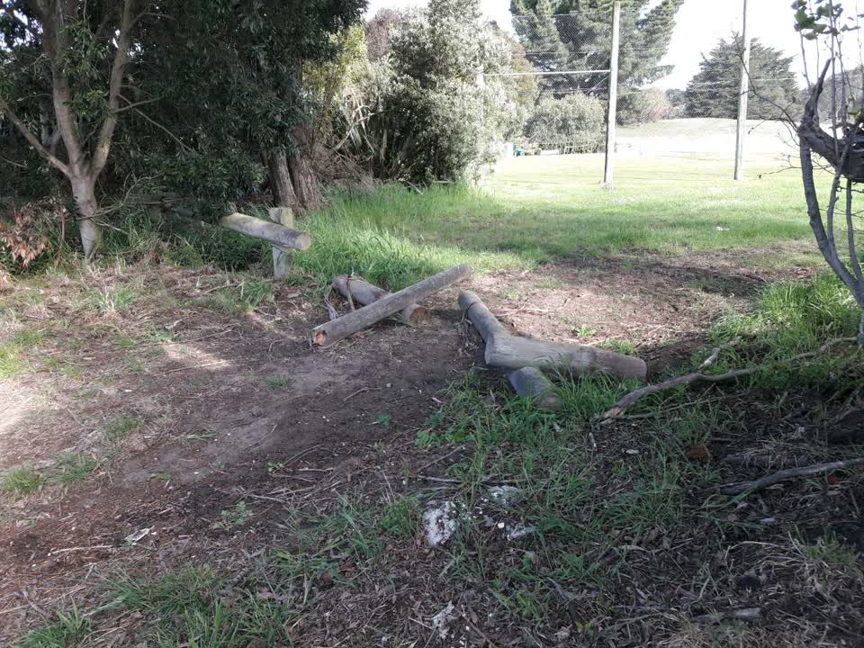 The photograph attached to this parks report
