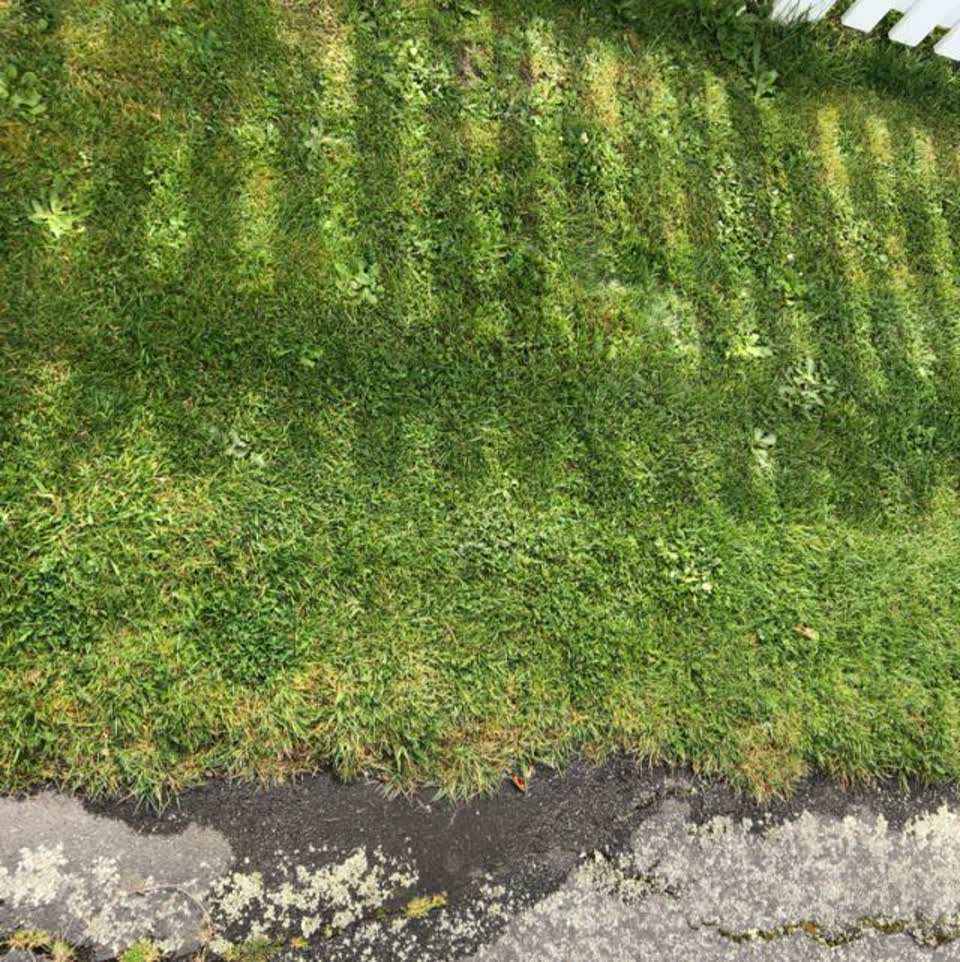 The photograph attached to this water supply report