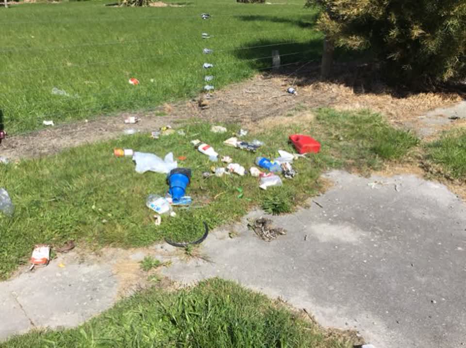 The photograph attached to this rubbish/recycling report