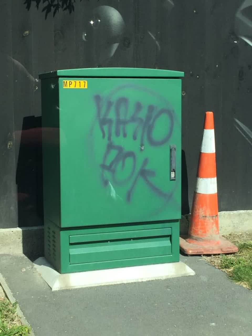 The photograph attached to this graffiti report