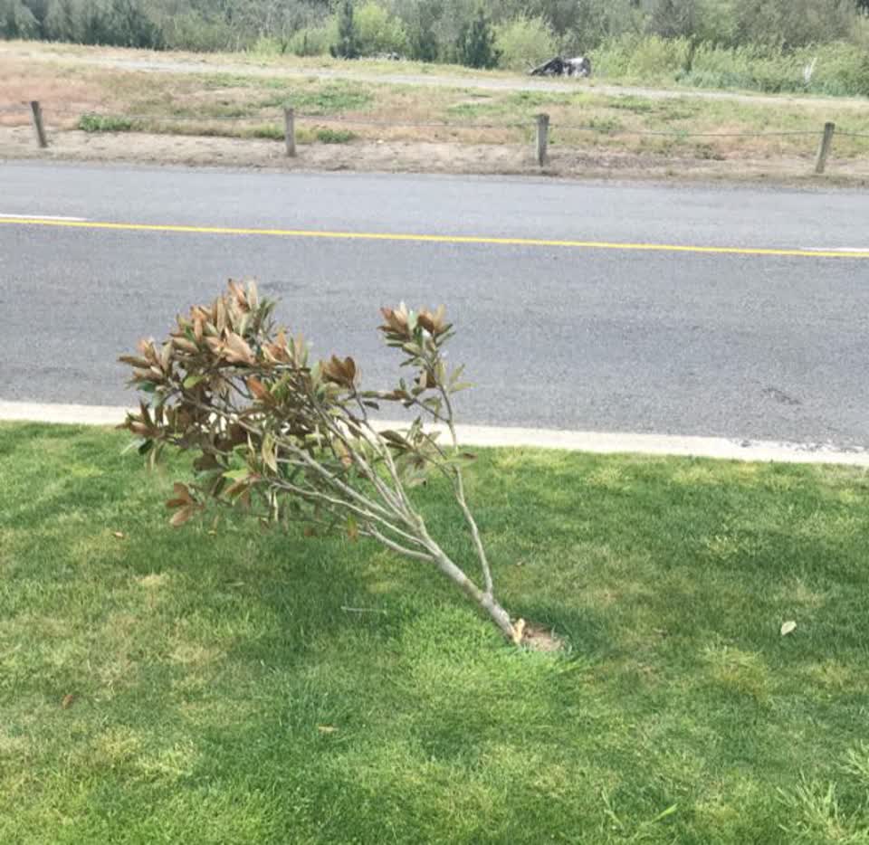 The photograph attached to this roading/streets report