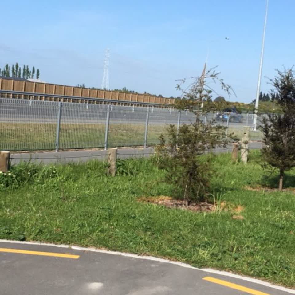 The photograph attached to this parks report
