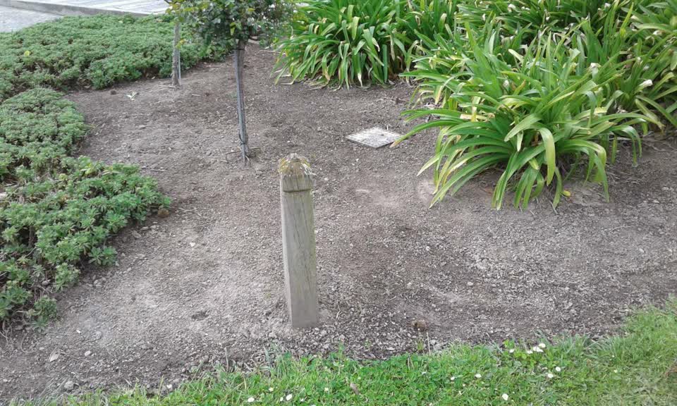 The photograph attached to this parks report