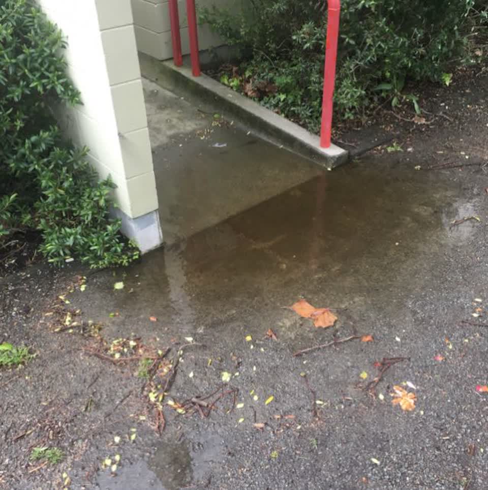 The photograph attached to this parks report
