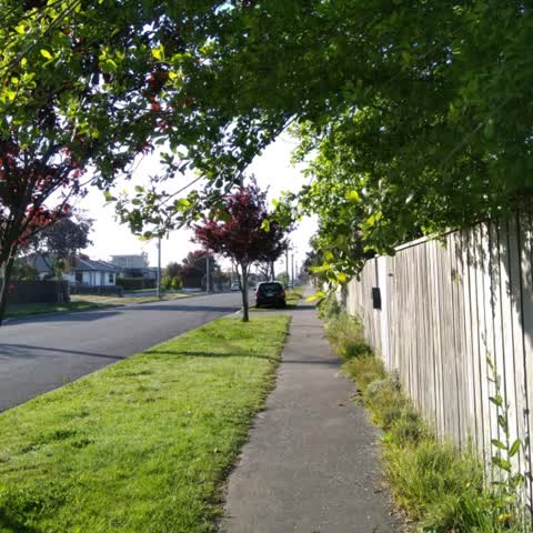 Roading/Streets, a report photo