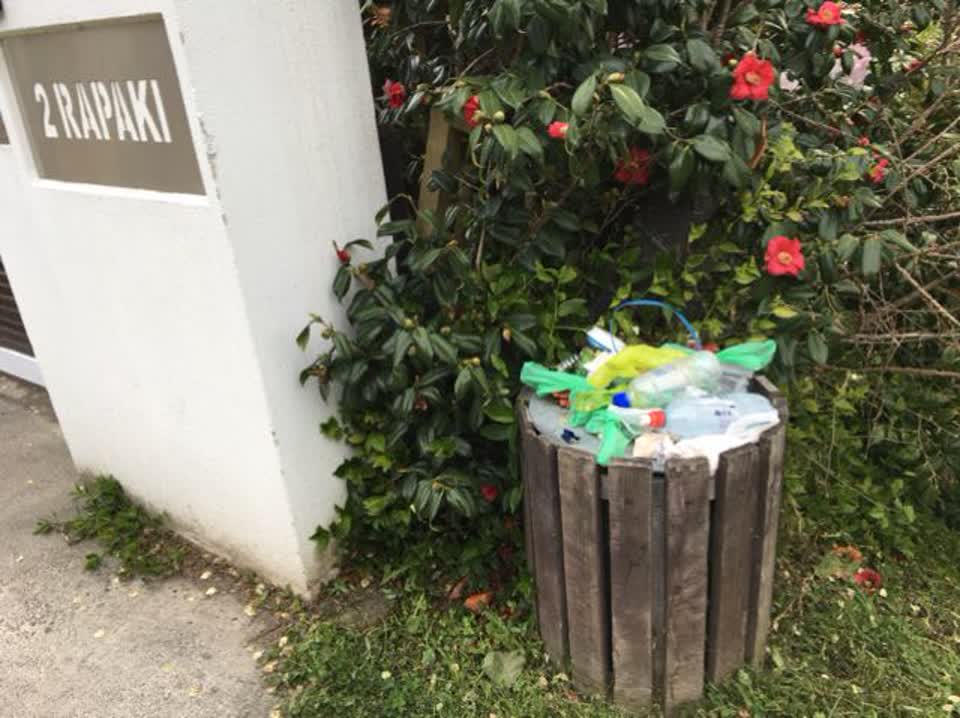 The photograph attached to this parks report
