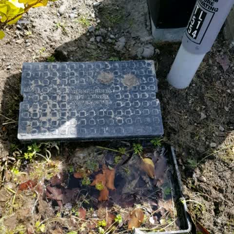 Water Supply, a report photo