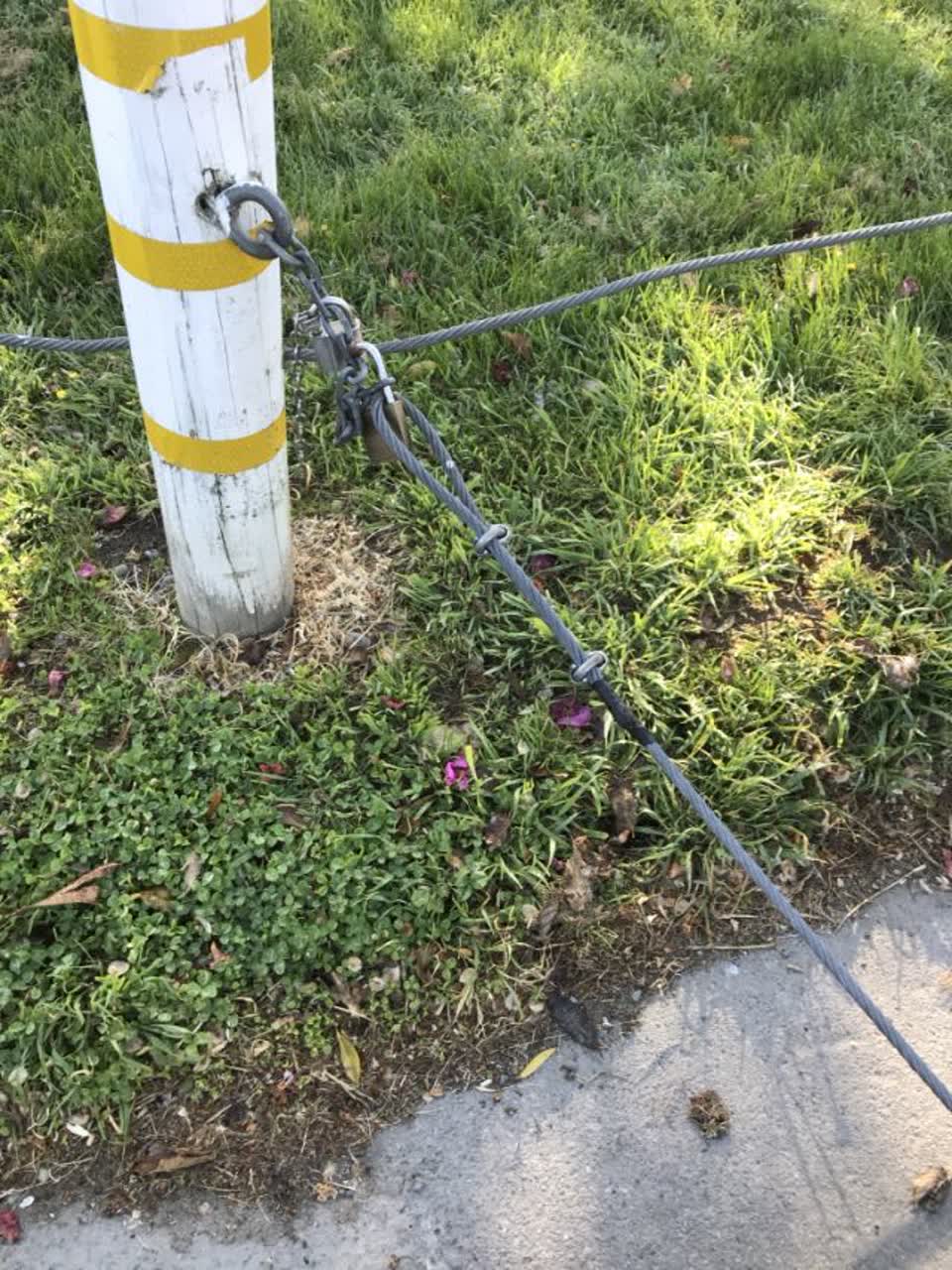 The photograph attached to this parks report