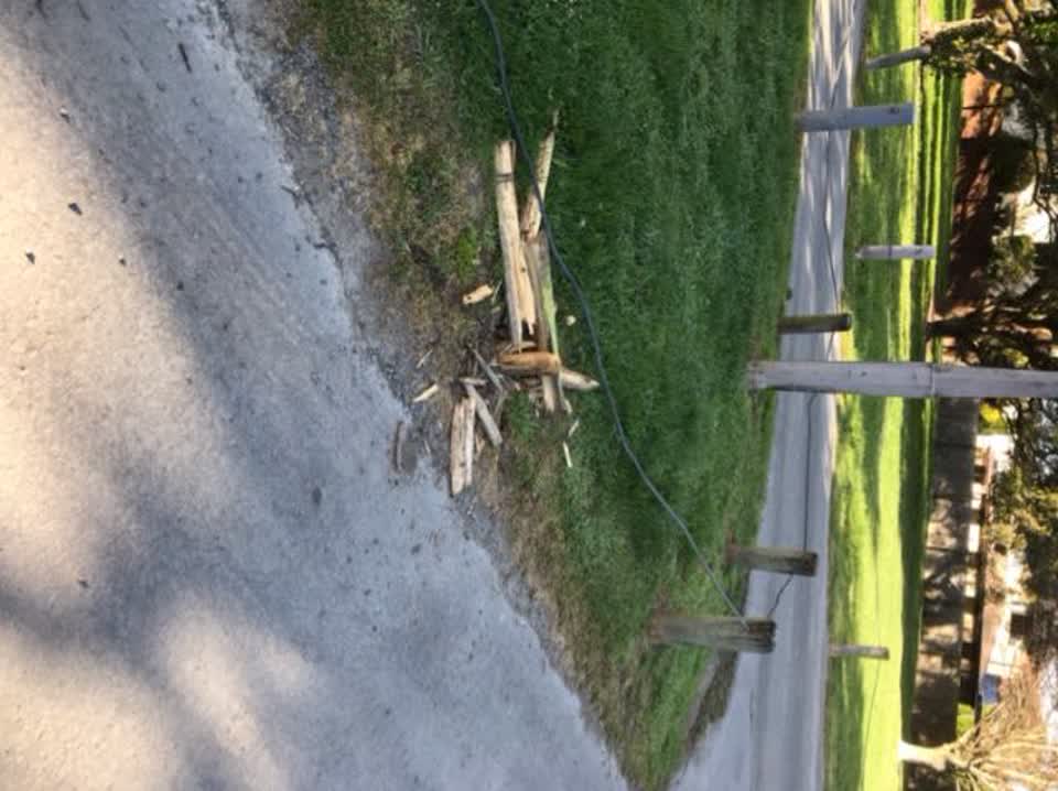 The photograph attached to this parks report