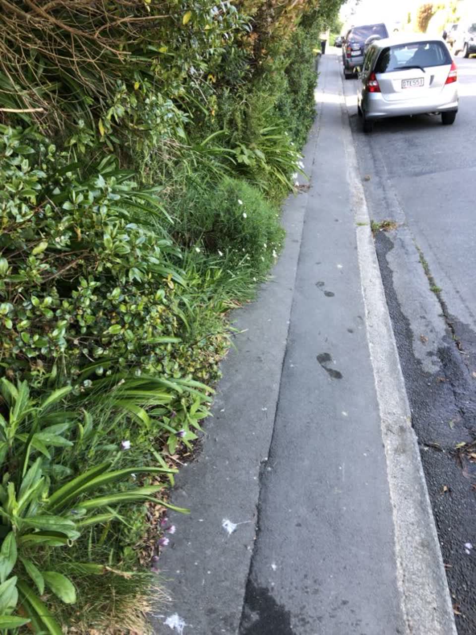 The photograph attached to this roading/streets report