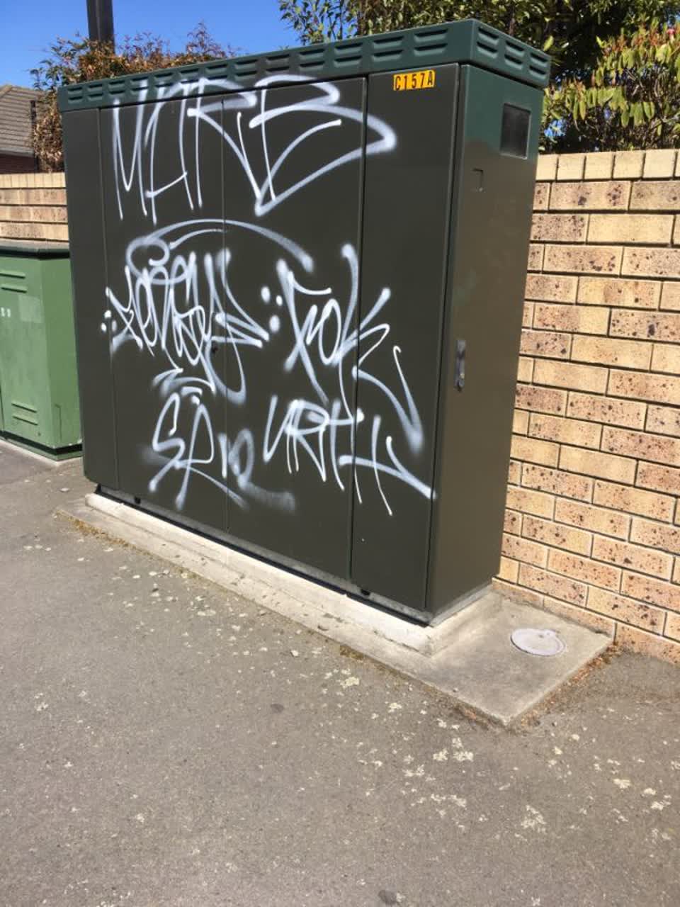 The photograph attached to this graffiti report