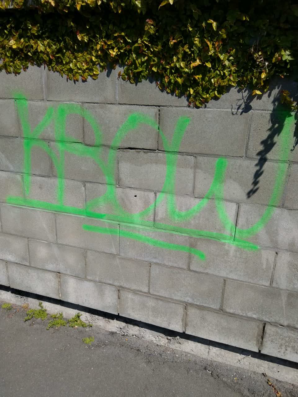 The photograph attached to this graffiti report