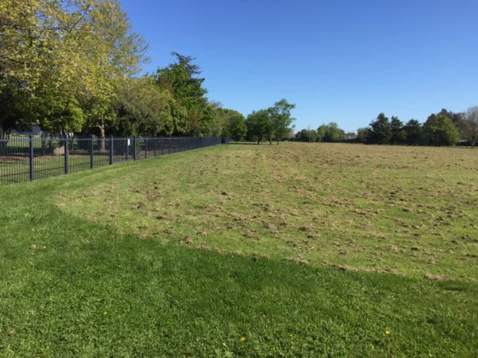 The photograph attached to this parks report