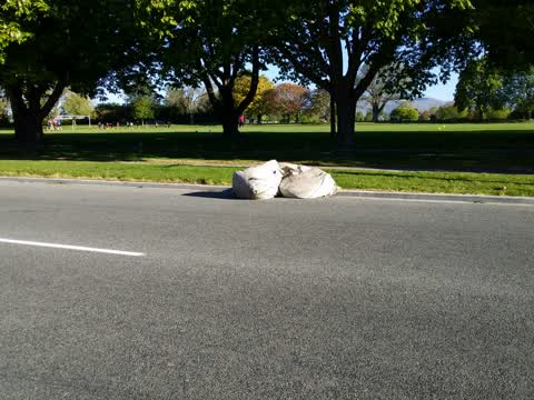 Rubbish/Recycling, a report photo