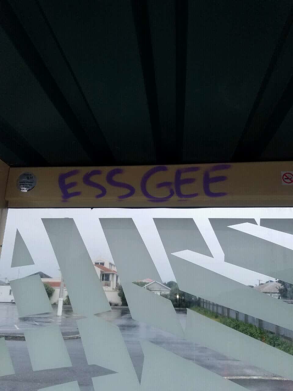 The photograph attached to this graffiti report