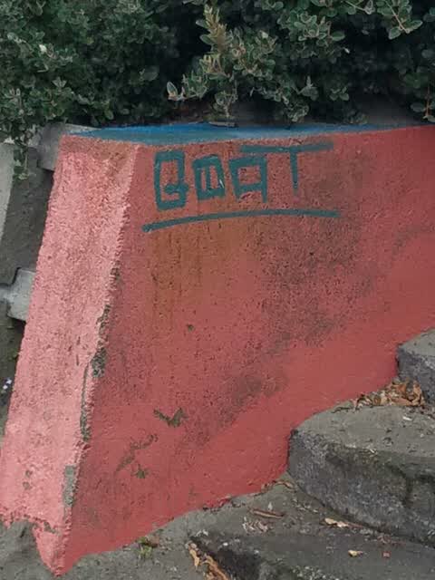 Graffiti, a report photo