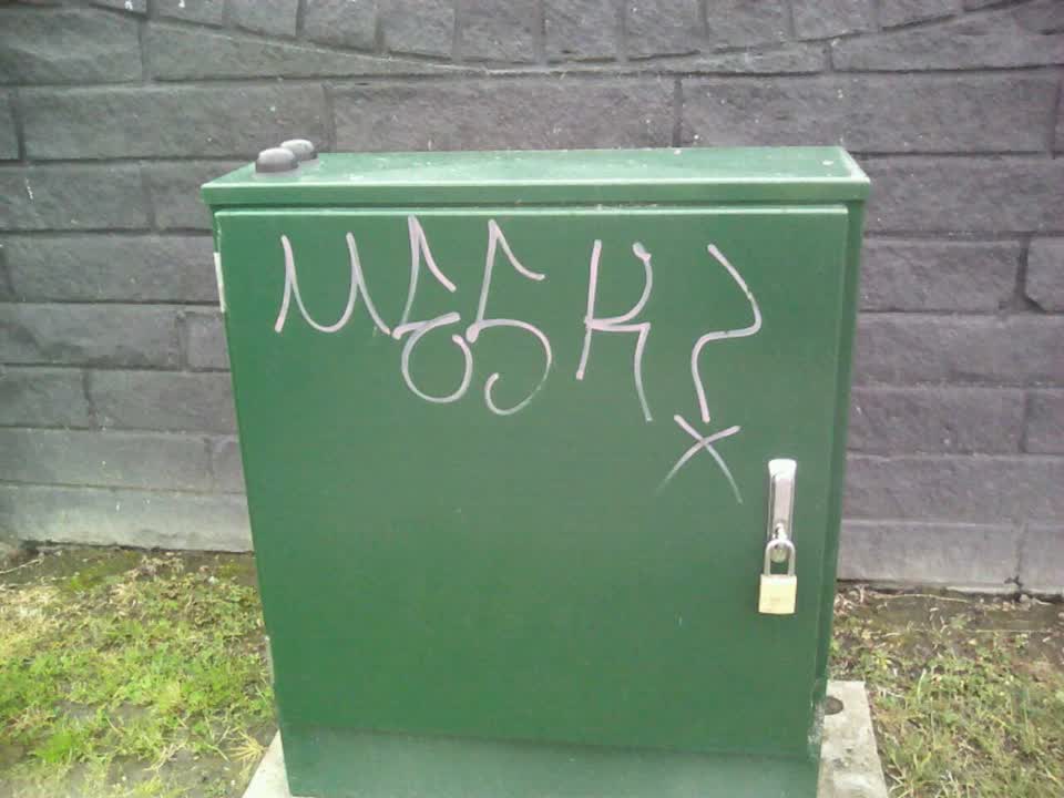 The photograph attached to this graffiti report