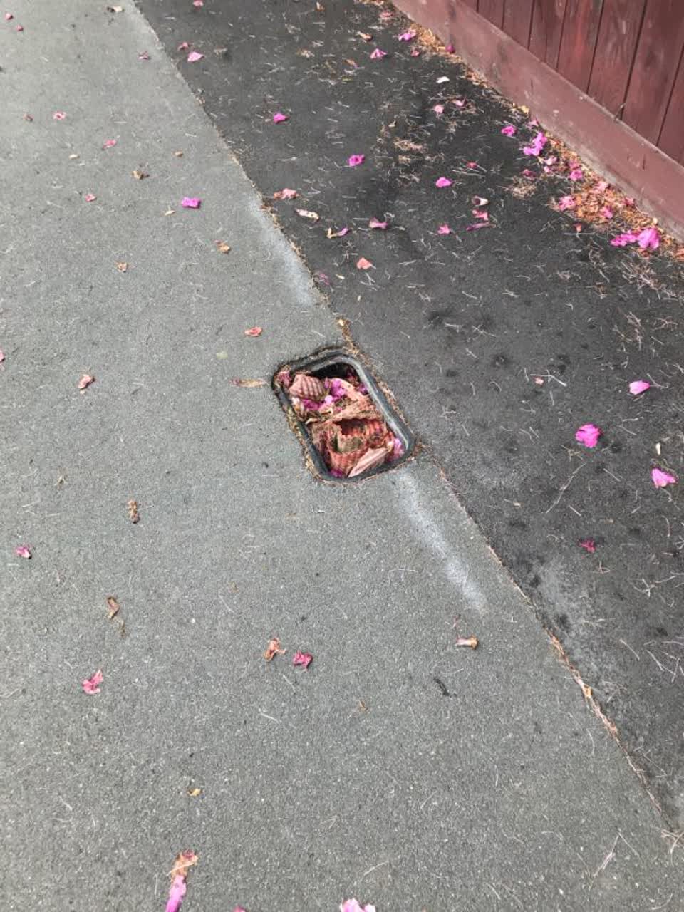 The photograph attached to this water supply report