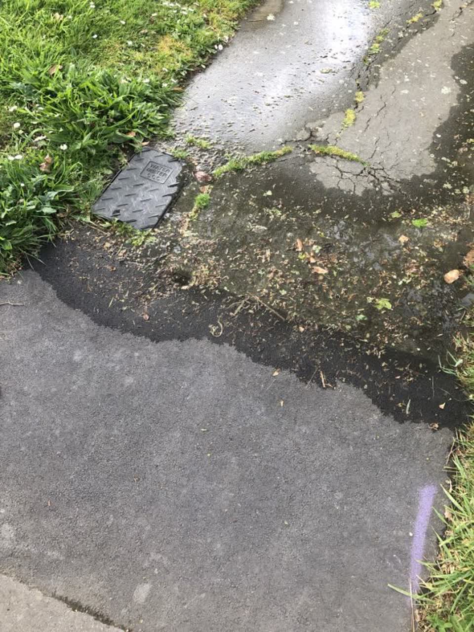 The photograph attached to this water supply report
