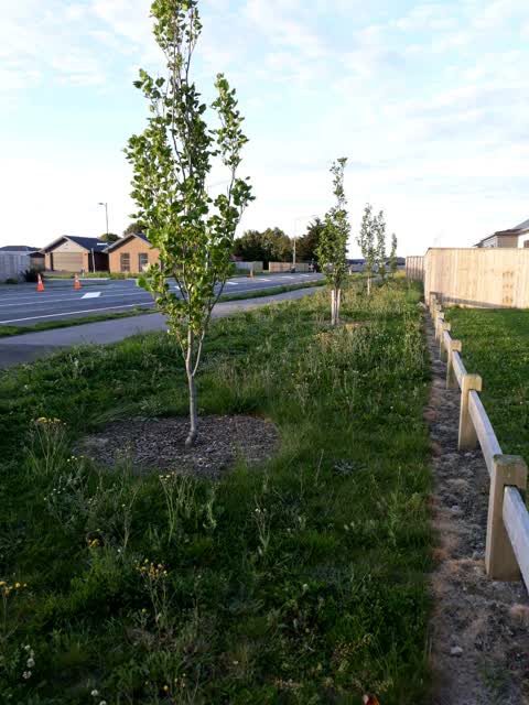 Roading/Streets, a report photo