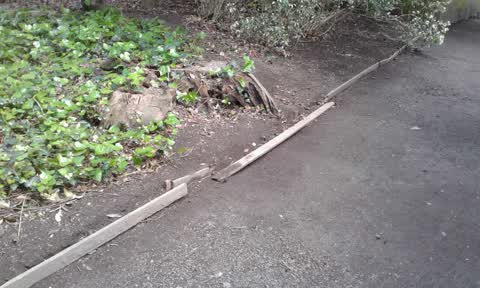 Parks, a report photo